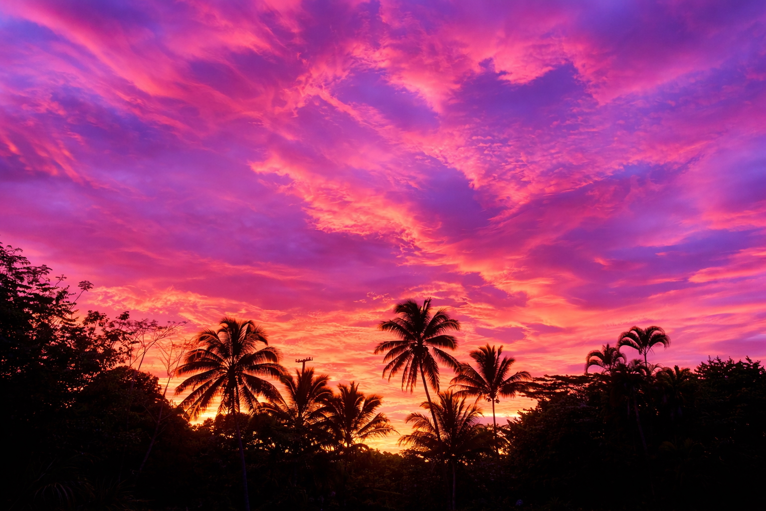Palm silhouettes beneath luminous pink and violet evening skies over the estate