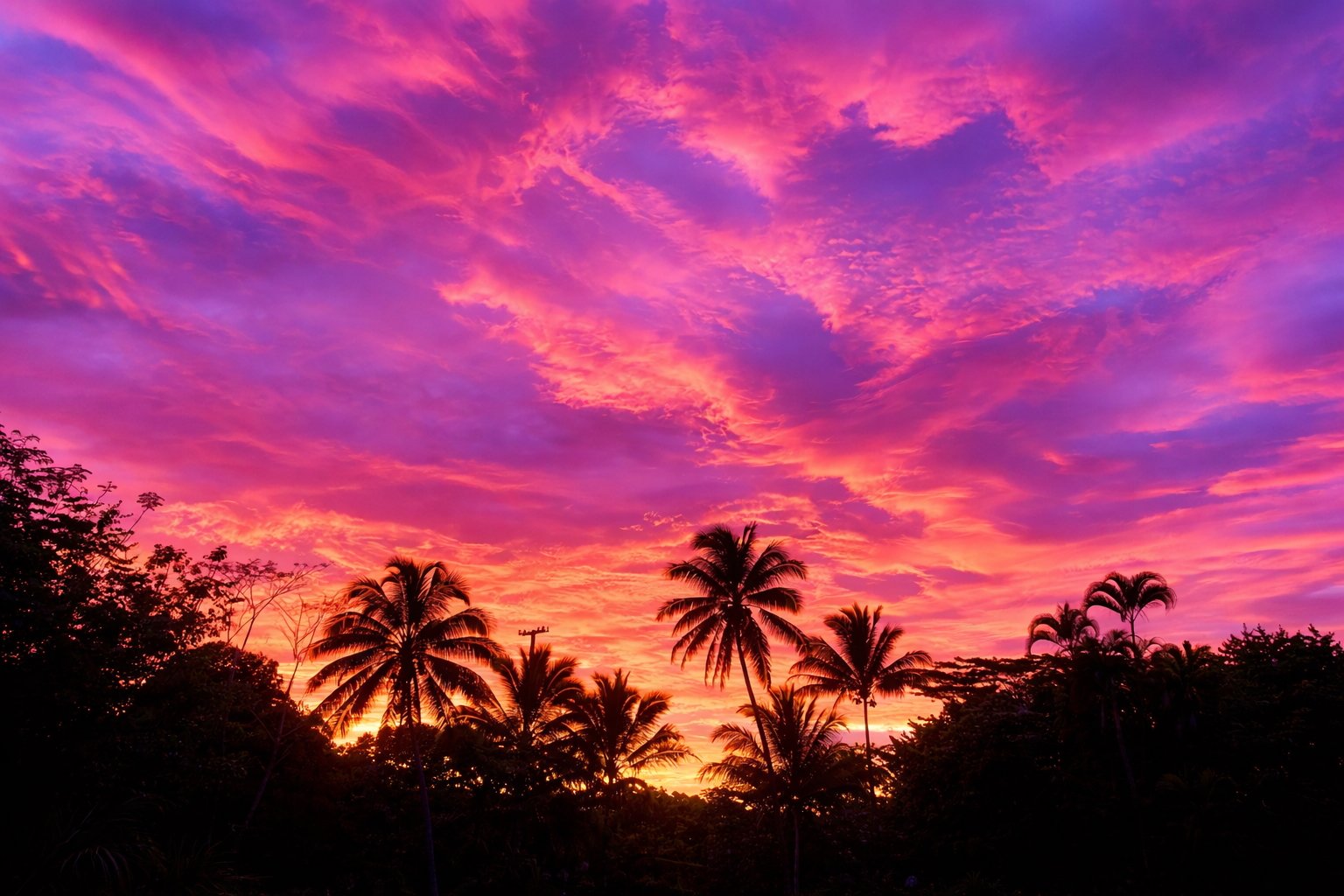 Palm silhouettes beneath luminous pink and violet evening skies over the estate