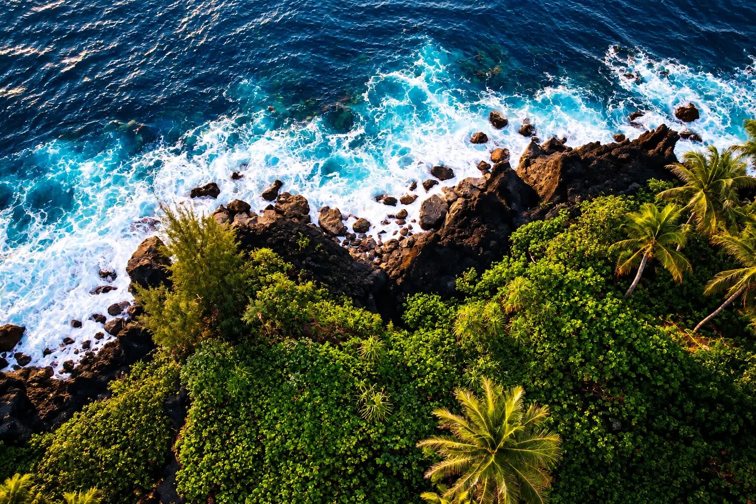 Aerial view of turquoise surf breaking over black lava rocks along the estate's oceanfront coastline
