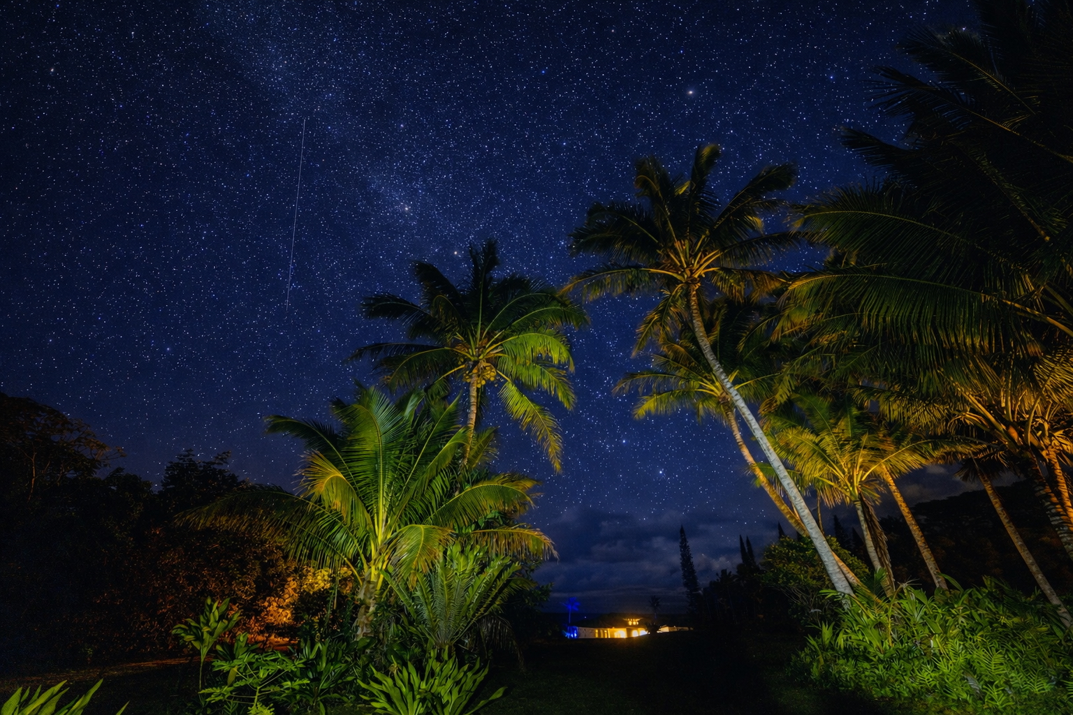 Star-filled night sky above tropical palms and softly lit estate gardens