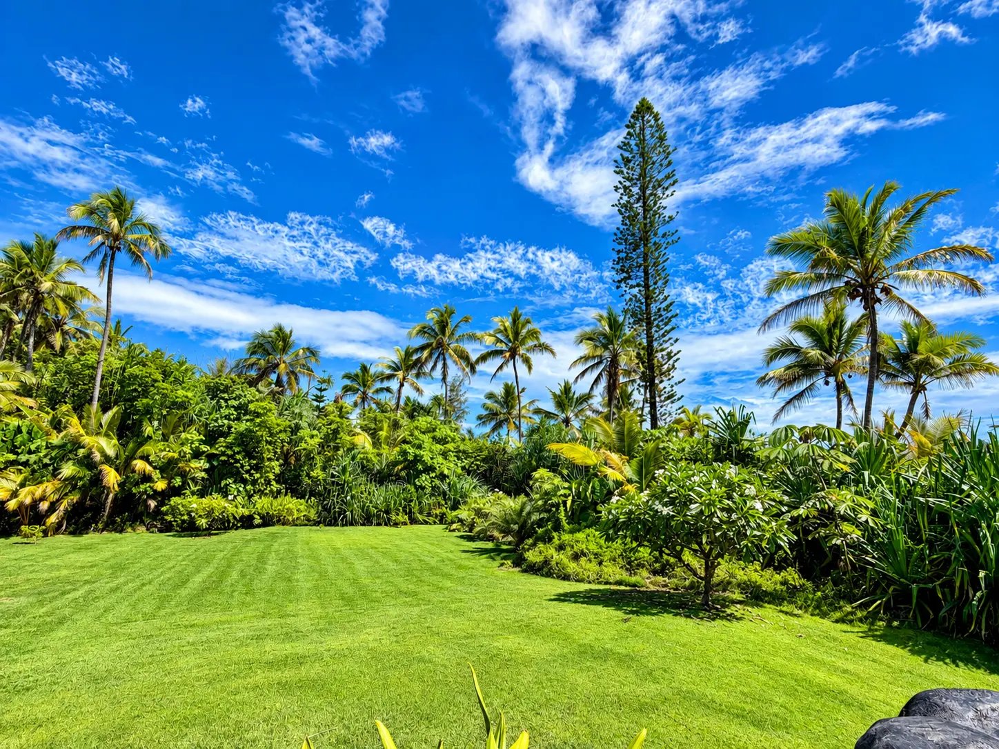 Manicured green lawn bordered by palms and lush tropical gardens under a bright blue Hawaiian sky