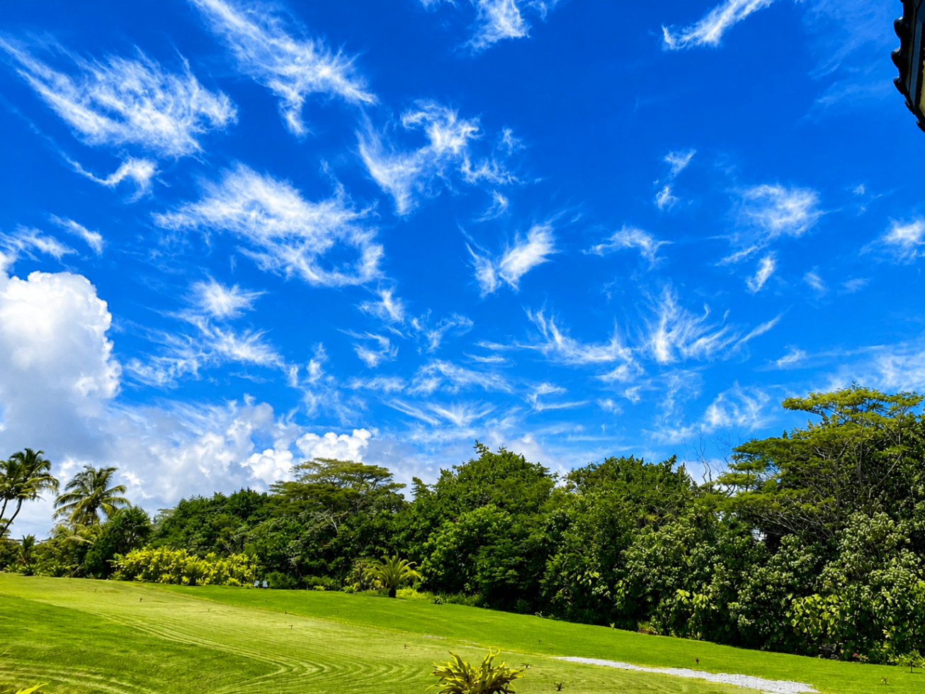Bright blue Hawaiian sky with wispy cirrus clouds above the estate treeline